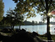 olympiapark munich.jpg